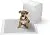 AmazonBasics Regular Carbon Pet Dog and Puppy Training Pads - Pack of 120, 22 x 22 Inches