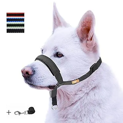 wintchuk Dog Head Collar with Padded Leather, Head Harness Stops Dog Pulling, Head Leash (L, Black)