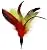 EcoCity Cat Toys - Cat Teaser Toys - Include Cat Wand and Natural Feather Refills (5 Pack)