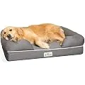PetFusion Ultimate Dog Bed, Orthopedic Memory Foam, Multiple Sizes/Colors, Medium Firmness Pillow, Waterproof Liner, YKK Zippers, Breathable 35% Cotton Cover, Cert. Skin Contact Safe, 3yr. Warranty