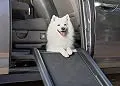 PetSafe Happy Ride Mini Dog Ramp - Portable Lightweight Pet Ramp - Great for Cars and - Durable Frame Supports up to 150 lb - Side Rails and High Traction Surface Design