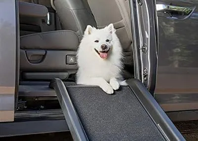 PetSafe Happy Ride Mini Dog Ramp - Portable Lightweight Pet Ramp - Great for Cars and - Durable Frame Supports up to 150 lb - Side Rails and High Traction Surface Design