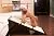 Merry Products Collapsible Dog & Cat Ramp