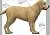PetJoy Complete Hip and Joint Care Health Daily Soft Chews Key Ingredients Glucosamine HCI, MSM, Chondroitin Sulfate to Repair and Restore Hip and Joint Tissue