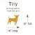Pet Carrier: Hard-Sided Dog Carrier, Cat Carrier, Small Animal Carrier in Blue| Inside Dims 17.91L x 11.5W x 12H & Suitable for Tiny Dog Breeds | Perfect Dog Kennel Travel Carrier for Quick Trips