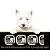 CESAR Soft Wet Dog Food Classic Loaf in Sauce Poultry Variety Pack, (24) 3.5 oz. Easy Peel Trays with Real Chicken, Turkey or Duck