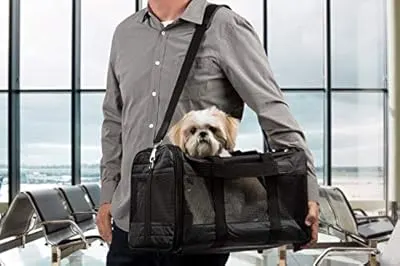 Sherpa Original Deluxe Pet Carrier, Large, Black