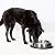 QT Dog Stainless Steel Brake-Fast Bowl, Medium, 64 Oz