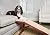 PetSafe CozyUp Sofa Ramp - Durable Wooden Pet Ramp Holds up to 100 lb - Great Couch Access for Dogs and Cats - Cherry Finish with Non-Slip Carpet Tread - Folds for Easy Storage