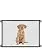Queenii Magic Gate for Dogs, Pet Safety Gate, Portable Folding Mesh Magic Gate Baby Safety Gates, Safe Guard Install Anywhere, Safety Fence for Hall Doorway Wide Tall (Black)