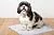 Hartz Home Protection Lavender Scented Odor Eliminating Gel Dog Pads - 140 Count