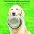 PETMAKER Stainless Steel Raised Food & Water Bowls with Decorative 6.5” Tall Stand for Dogs & Cats-2 Bowls, 40oz Each-Elevated Feeding Station
