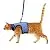 BINGPET Cat Harness with Leash and Collar for Walking - Escape Proof with 59 Inches Leash - Adjustable Soft Vest Harnesses for Medium Large Cats