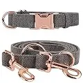 Heavy Duty Dog Collar and Leash 6 Foot Exceptionally Elegant Design with Rose Gold Set and Adjustable in 3 Different Lengths for Medium to Large Dogs (L (15.7''-25.6''), Grey)