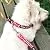 azuza Dog Collar and Leash Set, Red Nylon Collar with Matching Leash for Small Dogs, Cute Bone Pattern