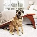 PetSafe CozyUp Bed Ramp - Durable Wooden Frame Supports up to 120 lb - Furniture Grade Wood Pet Ramp with Cherry Finish - High-Traction Carpet Surface - Great for Older Dogs and Cats