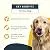 Petlab Co. Joint Care Chews for Dogs | Packed Essential Vitamins to Promote Dog Hip and Joint Health | MSM, Glucosamine, Fish Oil Omega-3 Fatty Acids, Calcium Fluoroborate, Turmeric