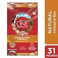 Purina ONE Natural Dry Dog Food, SmartBlend Chicken & Rice Formula - 31.1 lb. Bag