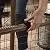Evenflo Position and Lock Tall Pressure Mount Wood Gate (expands from 31- 50 inches)