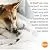K&H Pet Products Thermo-Mod Dream Pod Heated Pet Bed Tan/Black 22" 4W