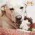 Nylabone Dura Chew Power Chew Textured Ring, Large Durable Dog Chew Toy, Great for Aggressive Chewers