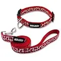 azuza Dog Collar and Leash Set, Red Nylon Collar with Matching Leash for Small Dogs, Cute Bone Pattern