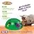 Allstar Innovations Pop N’ Play Interactive Motion Cat Toy, Includes: Electronic Smart Random Moving Feather & Mouse Teaser, Mouse Squeak Sound Optional & Auto Shut Off. Best Cat Toy Ever!