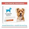 Wisdom Panel Health Canine DNA Test - Dog DNA Test Kit for Breed, Ancestry and Genetic Health Information