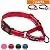 haapaw 2 Packs Martingale Dog Collar with Quick Release Buckle Reflective Dog Training Collars for Small Medium Large Dogs (Collar+Leash, M Neck 14"-16.5", Turquoise+Turquoise, 2 Packs)