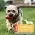 KONG - Classic Dog Toy - Durable Natural Rubber - Fun to Chew, Chase and Fetch - for Small Dogs