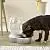 Petmate Replendish Gravity Waterer with Microban Cat and Dog Water Dispenser 4 Sizes
