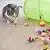 Youngever 24 Cat Toys Kitten Toys Assortments, 2 Way Tunnel, Cat Feather Teaser - Wand Interactive Feather Toy Fluffy Mouse, Crinkle Balls for Cat, Puppy, Kitty, Kitten