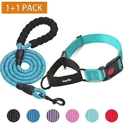 haapaw 2 Packs Martingale Dog Collar with Quick Release Buckle Reflective Dog Training Collars for Small Medium Large Dogs (Collar+Leash, M Neck 14"-16.5", Turquoise+Turquoise, 2 Packs)