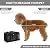X-ZONE PET Airline Approved Soft-Sided Pet Travel Carrier for Dogs and Cats, Black
