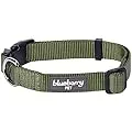 Blueberry Pet Essentials 22 Colors Classic Dog Collar, Military Green, Medium, Neck 14.5"-20", Collars for Dogs