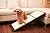 Merry Products Collapsible Dog & Cat Ramp