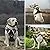 WINSEE Dog Harness No Pull, Pet Harnesses with Dog Collar, Adjustable Reflective Oxford Outdoor Vest, Front/Back Leash Clips for Small, Medium, Large, Extra Large Dogs, Easy Control Handle for Walking