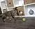SmartyKat Feather Whirl Electronic Motion Cat Toy, As Seen On TV