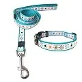 ANNIMOS Pet Dog Cat Collar and Leash Set Adjustable Collars