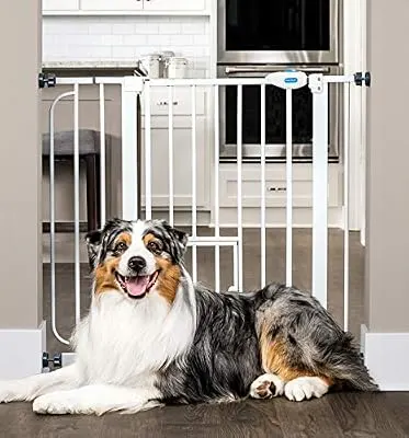 Carlson Extra Wide Walk Through Pet Gate with Small Pet Door, Includes 4-Inch Extension Kit, Pressure Mount Kit and Wall Mount Kit
