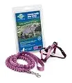 PetSafe Come With Me Kitty Harness and Bungee Leash, Harness for Cats, Medium, Dusty Rose/Burgundy