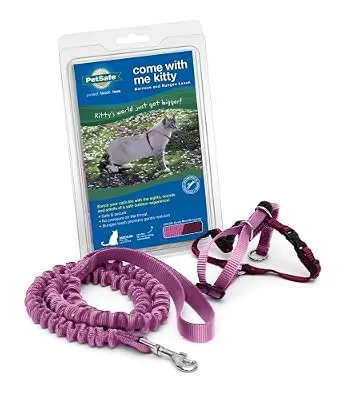 PetSafe Come With Me Kitty Harness and Bungee Leash, Harness for Cats, Medium, Dusty Rose/Burgundy