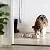 AmazonBasics Stainless Steel Pet Dog Water And Food Bowl - Set of 2, 11 x 3 Inches