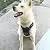 Big Dog Harness No Pull Adjustable Pet Reflective Oxford Soft Vest for Large Dogs Easy Control Harness