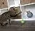 SmartyKat Feather Whirl Electronic Motion Cat Toy, As Seen On TV