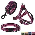 Mile High Life Night Reflective Double Adjustable Band Nylon Small Puppy Pet Dog Combo Collar Leash and Harness Set (Pink, Small Neck 11"-15" -20 lb)