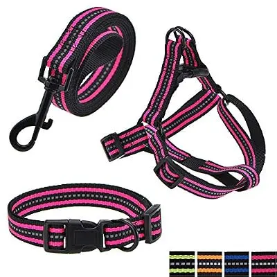 Mile High Life Night Reflective Double Adjustable Band Nylon Small Puppy Pet Dog Combo Collar Leash and Harness Set (Pink, Small Neck 11"-15" -20 lb)