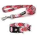 azuza Dog Collar and Leash Set, Adjustable Nylon Collar with Matching Leash, Pink Arrow for Small Dogs