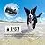 CANAVIS Dog Shock Collar with 1800Ft Remote, Waterproof Dog Training Collar, Rechargeable Electronic Collar with Vibration Tone Shock Modes, Adjustable Collar Strap for Small Medium Large Dog