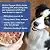 Dr. Harvey's Health & Shine Omega 3 Fish Oil for Dogs from Wild Caught Mackerel, Herring, Anchovies and Sardines - Supports Beautiful Fur, Strong Joints and Itchy Allergy Relief (16 FL OZ)